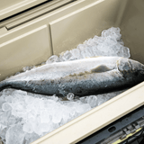 THE FISHING BUNDLE